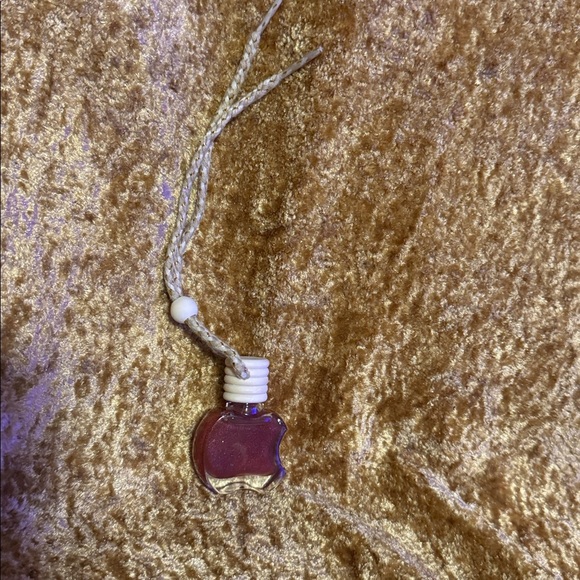 Minty Ganache Apple Car Diffuser by Department Of Scents Emporium - Picture 1 of 7